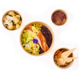 Plateau Terroir BIO - Pavé de saumon